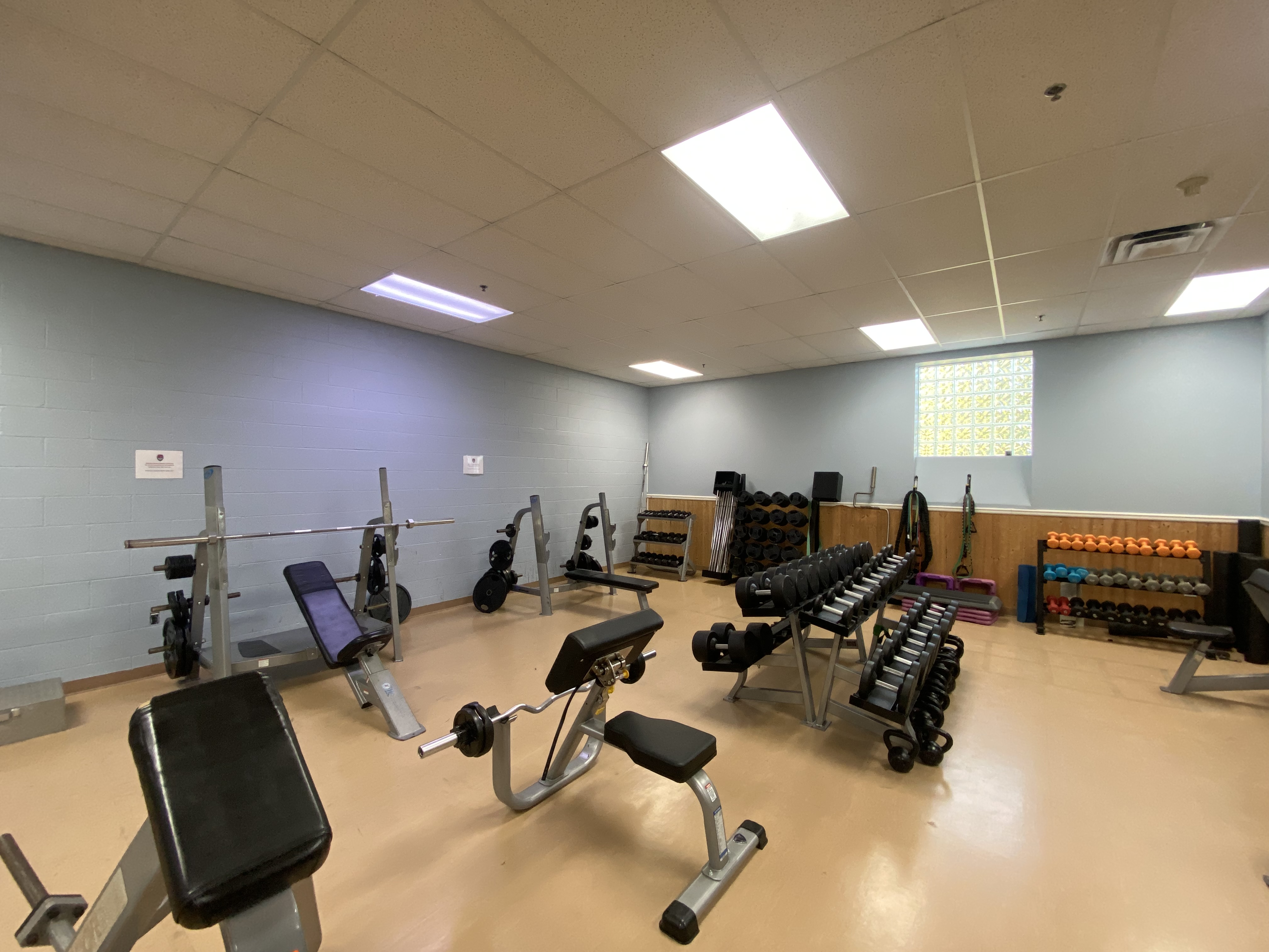 Free weights and dumbbell rack